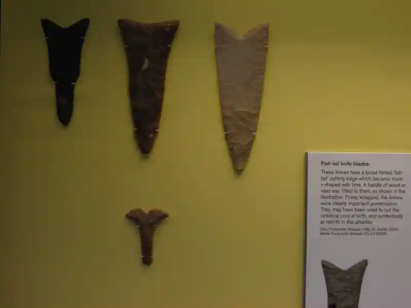 Fish-tail knife blades